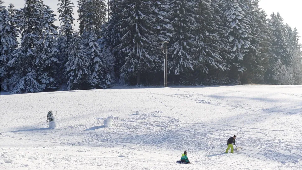 Scheidegg, Rosenalm und Umgebung im Allgäu