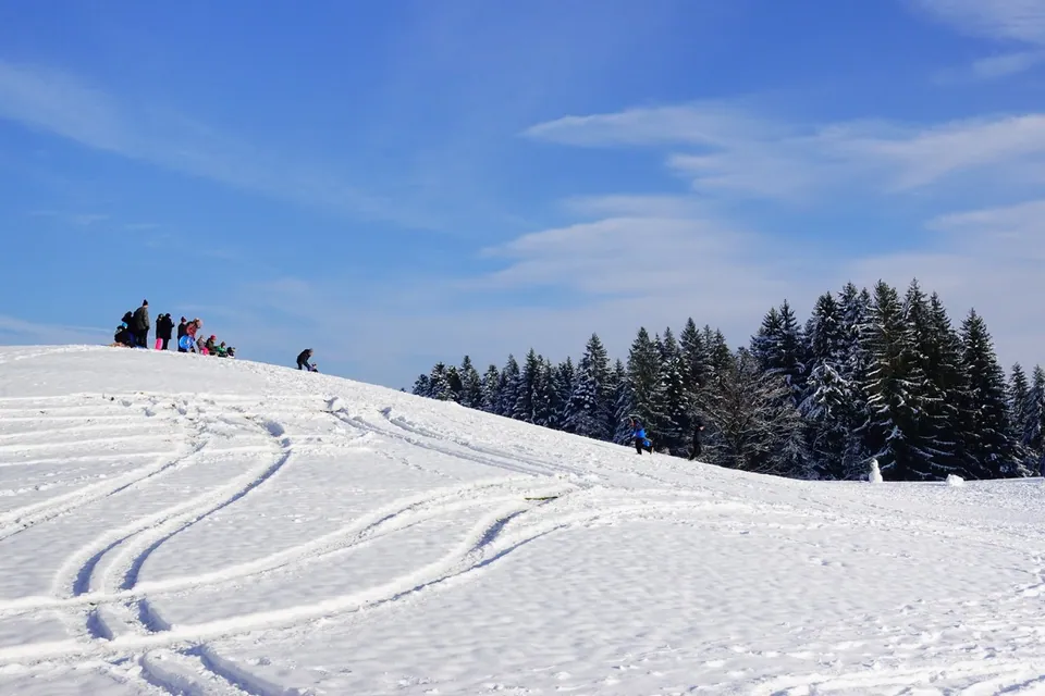 Scheidegg und Anlage Rosenalm – Eindruck 27