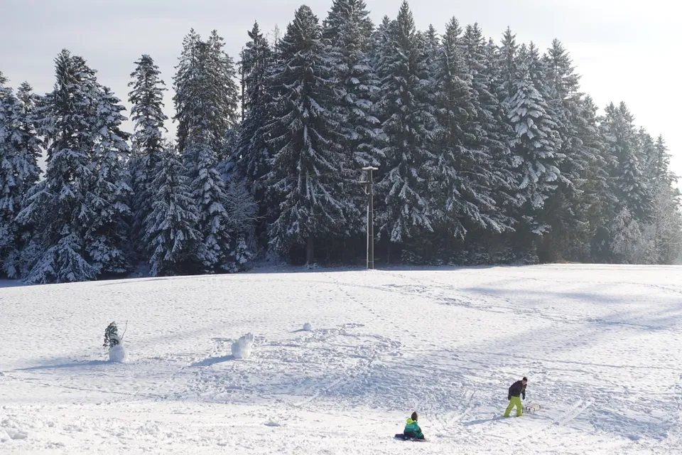 Scheidegg und Anlage Rosenalm – Eindruck 21