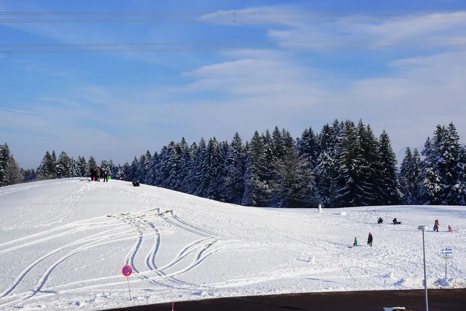 Scheidegg und Anlage Rosenalm – Eindruck 29