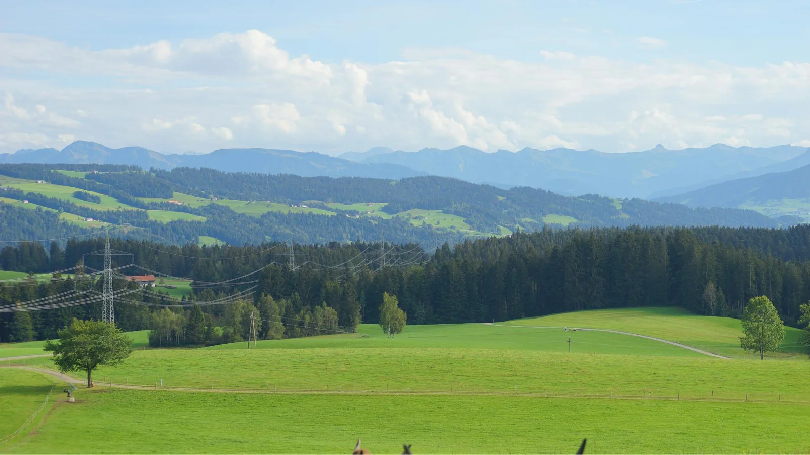 Allgäuer Berglandschaft mit grünen Wiesen