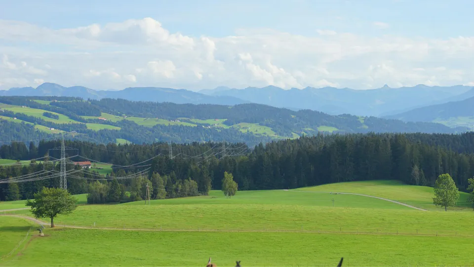 Blick über die grünen Wiesen auf die Allgäuer Berglandschaft bei Scheidegg
